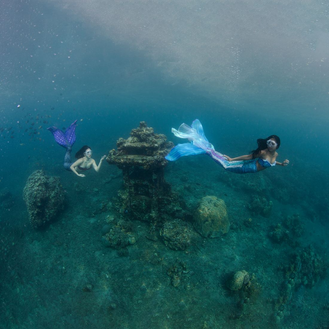 Why Get Certified? The Benefits of a PADI Mermaid Certification