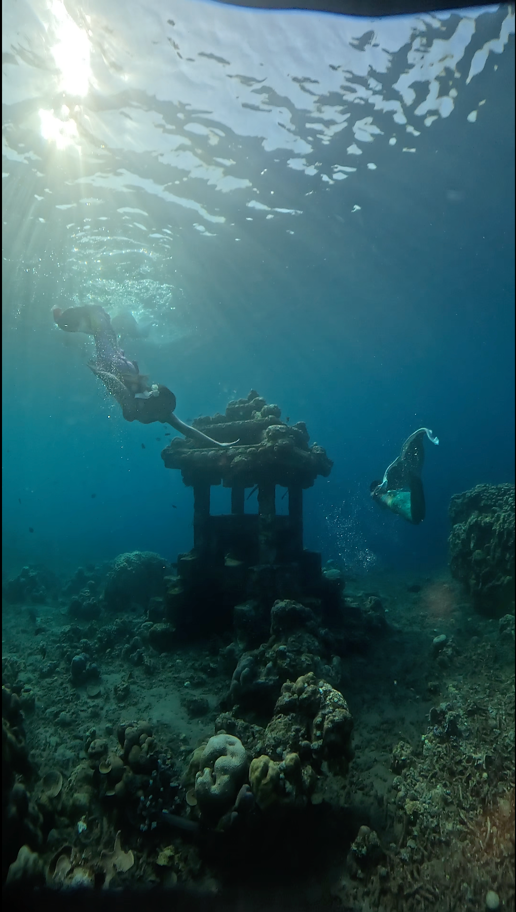 Open Water Session – Advanced Mermaid Training