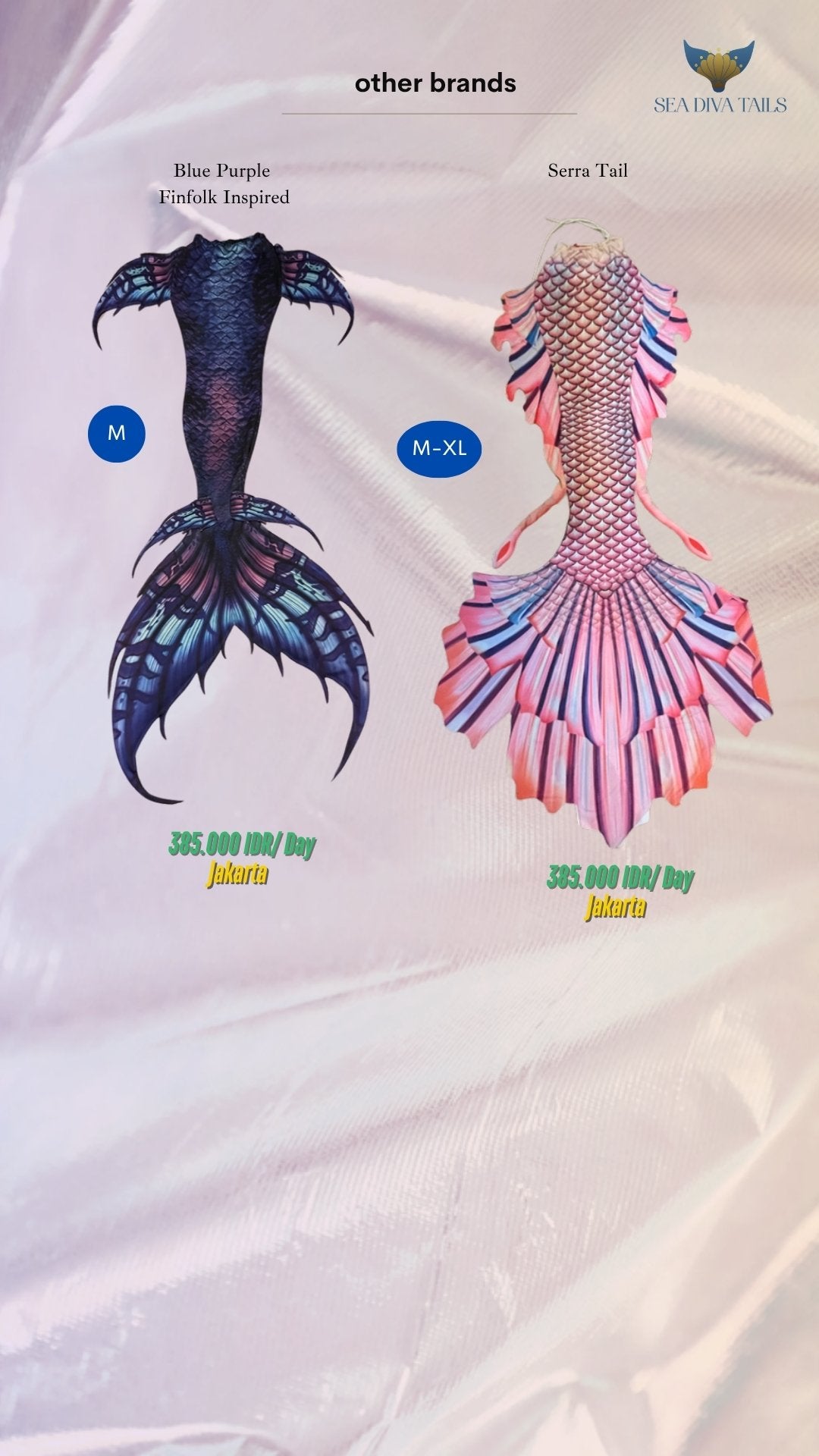 Mermaid Tail Rental - DiveArts Academy