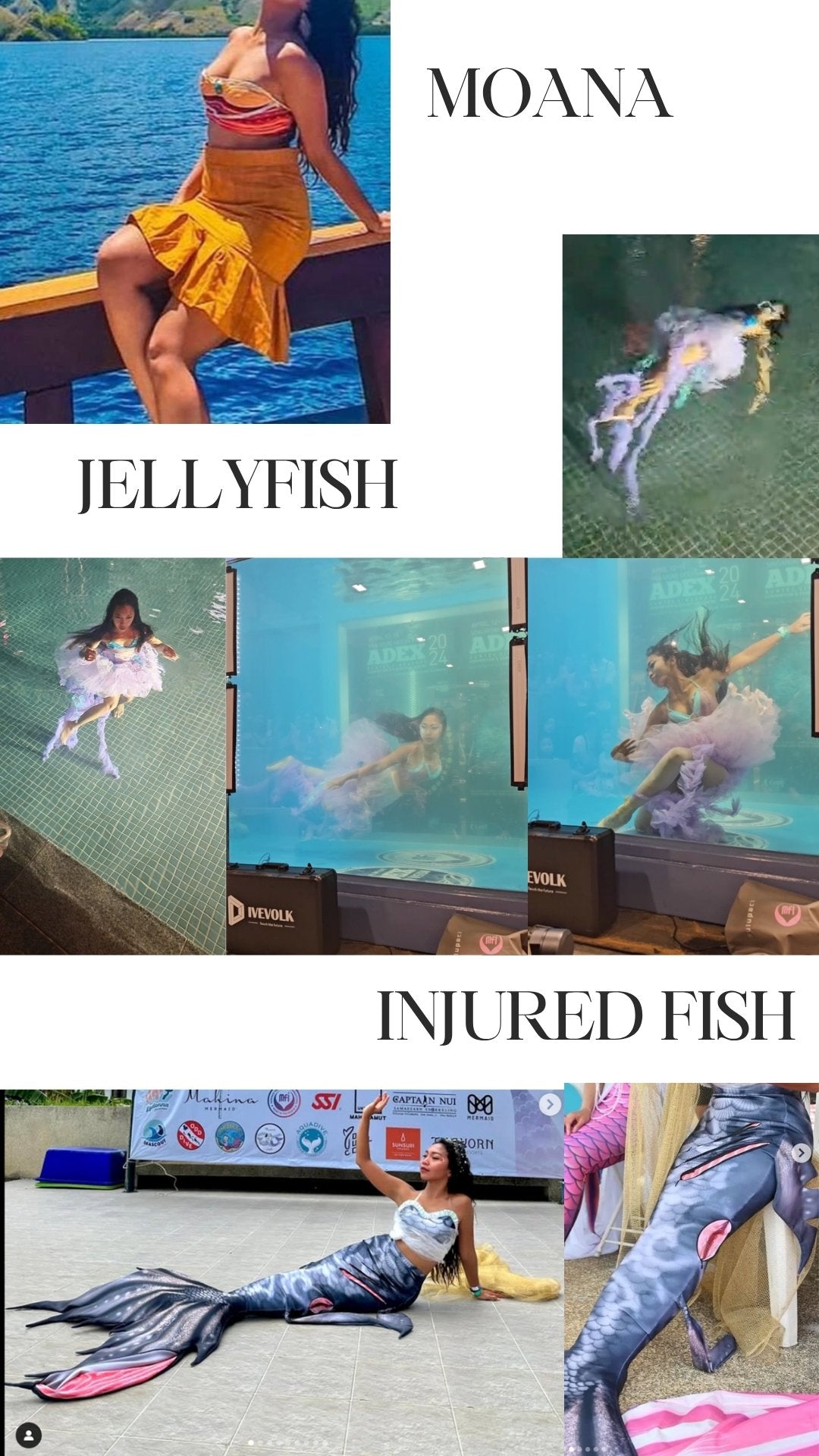 Costumes & Dresses Rental - DiveArts Academy