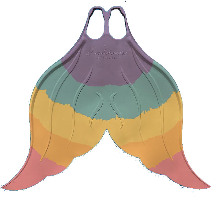 Monofin Rental - DiveArts Academy