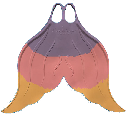 Monofin Rental - DiveArts Academy
